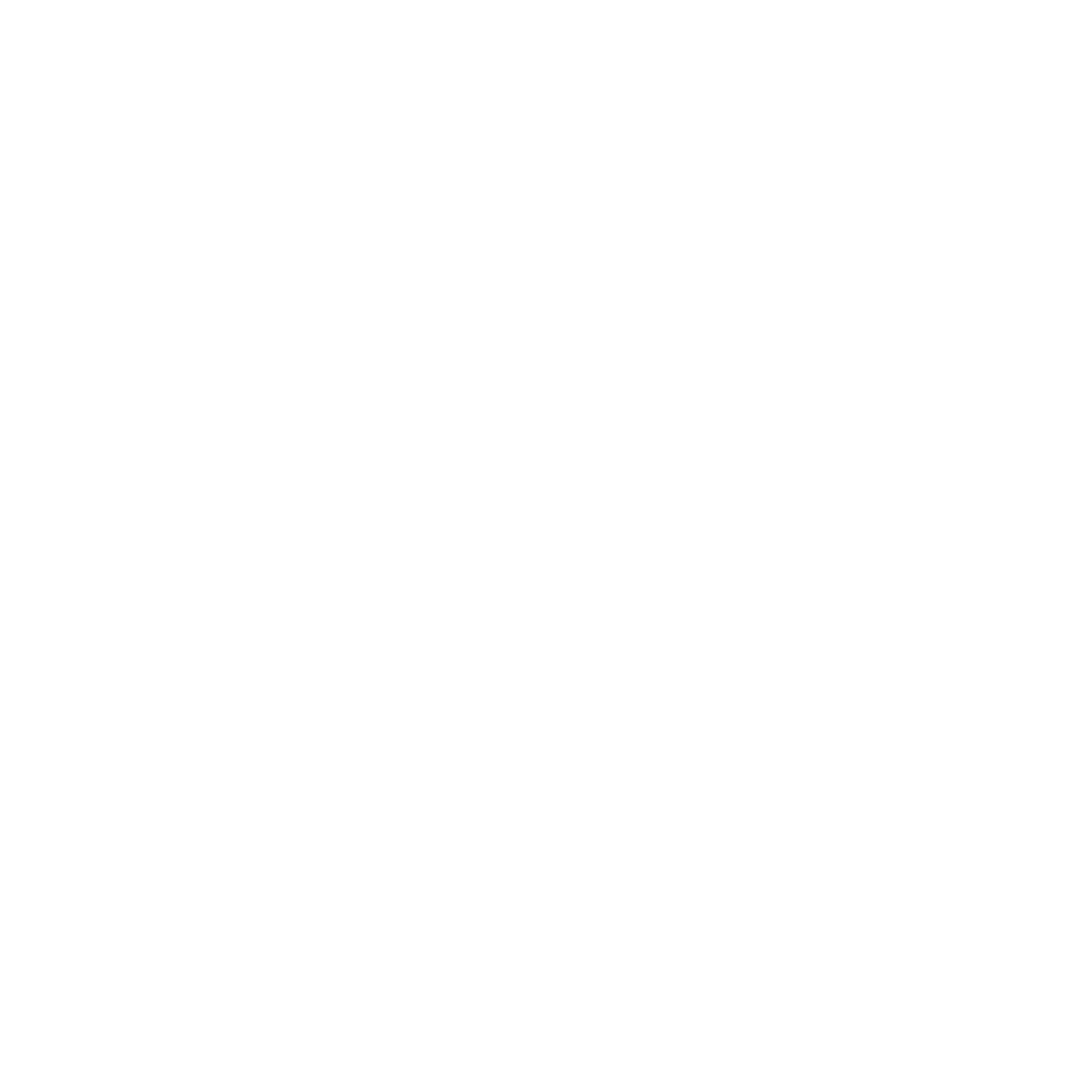 Spotify Icon